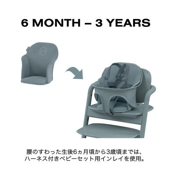 Вкладиш CYBEX Gold LEMO Comfort, чорний W25-ED9373 фото