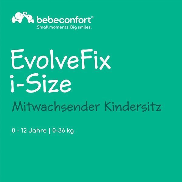 Автокрісло Bebeconfort EvolveFix i-Size 40&ndash;150 см, 360&deg; W25-ED7987 фото