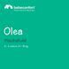 Високий стілець Bebeconfort Olea W25-ED8805 фото 2