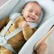 Дерев&rsquo;яний стілець Maxi-Cosi Nesta, від немовляти до дорослого W25-ED8603 фото 9