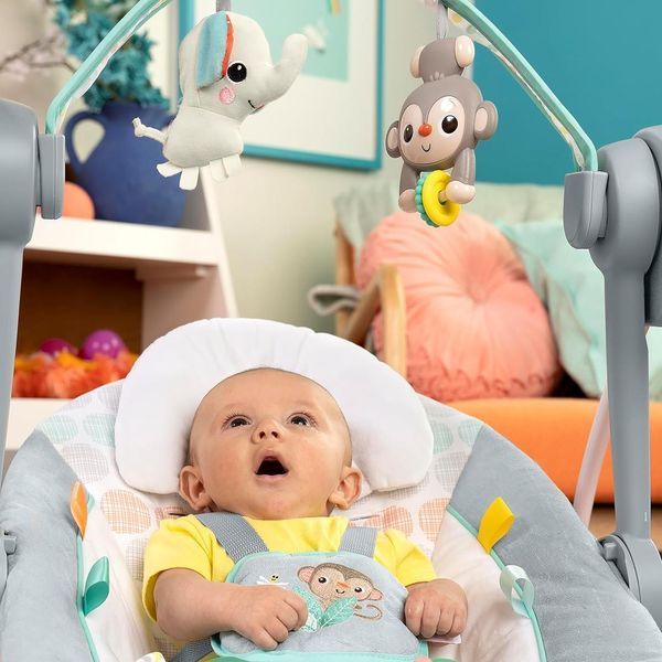Автоматичний шезлонг-гойдалка Bright Starts Whimsical Wild W25-ED8810 фото