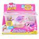 Набір інтерактивний Pets Alive Mama & Baby Черепаха (9560) 9560 фото 1