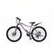 Велосипед 26" NewSpeed Women MTB (NEW-1) NS-WMTB фото 1
