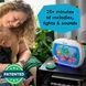 Нічник-музична панель Baby Einstein Sea Dreams Soother для ліжечка з пультом W25-ED9111 фото 3