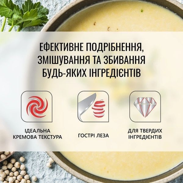 Занурювальний блендер Tefal HB643138 HB643138 фото
